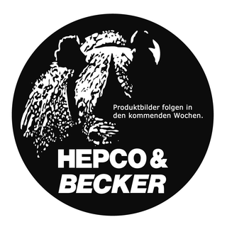 Hepco & Becker Koffertrger fr BMW R 850 R bis 02 / R 1100 R